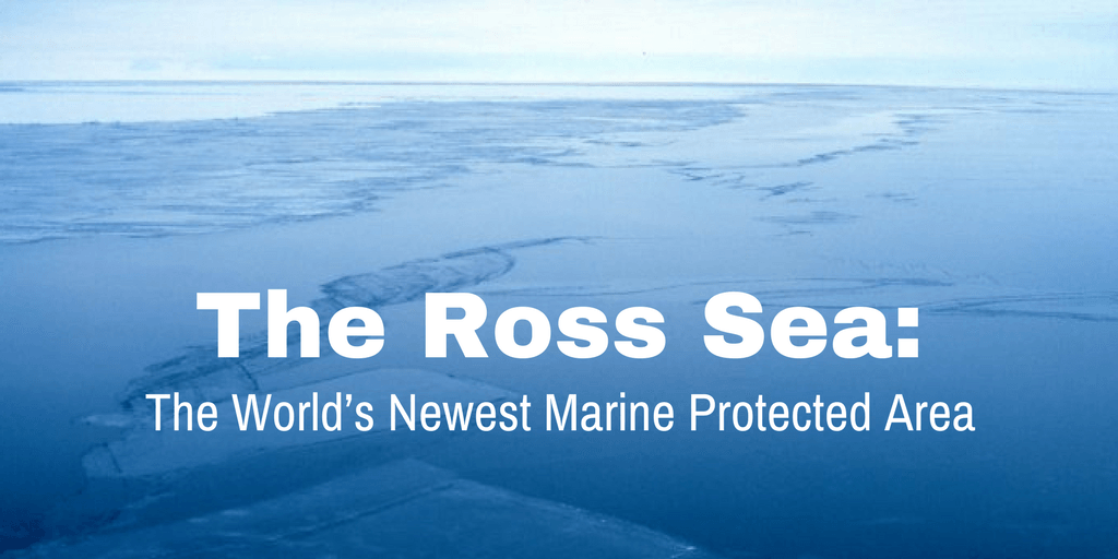 Te Ross Sea: The World’s Newest Marine Protected Area by Peter Bubel
